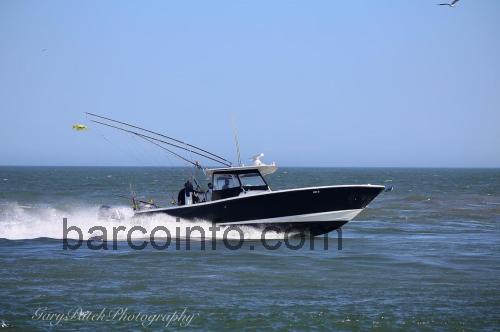 Edgewater 388CC opinión y ficha técnica
